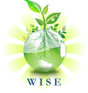 WISE Logo